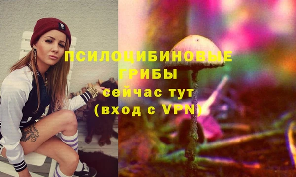 мет Гусиноозёрск
