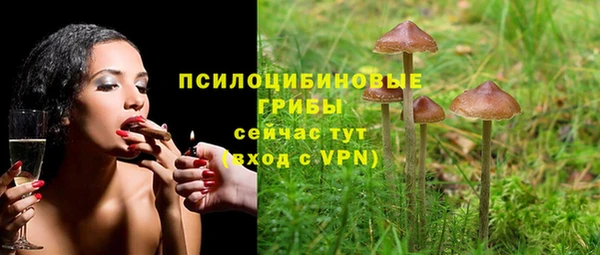 мет Гусиноозёрск